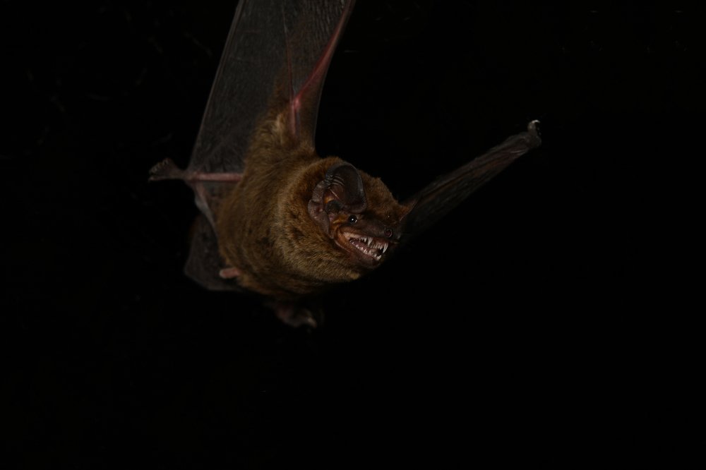 Photograph by Михаил Колтухов