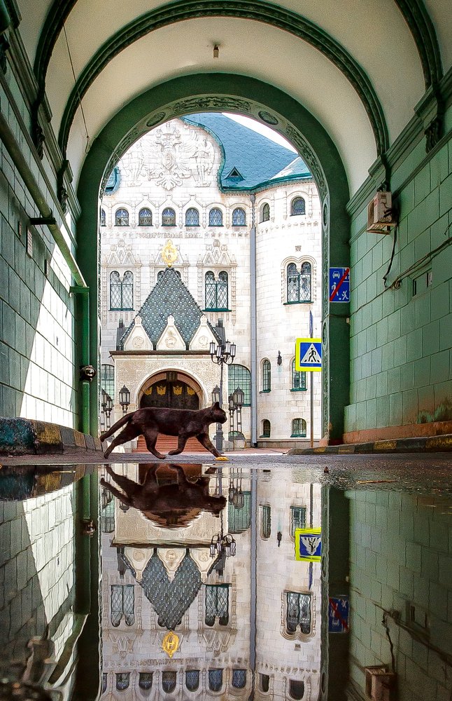 Photograph by ирина иванова