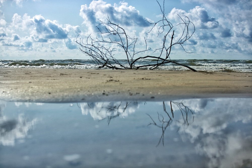 Photograph by Юлия Кулиева