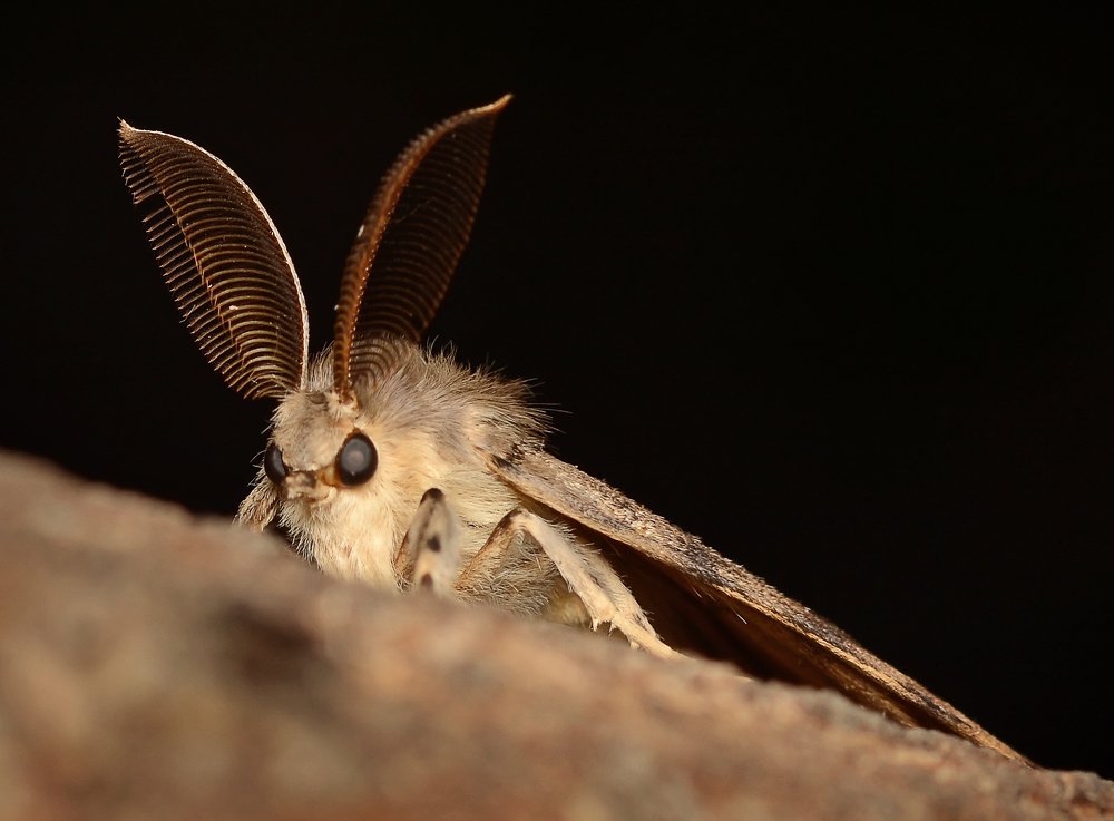 Photograph by Михаил Колтухов