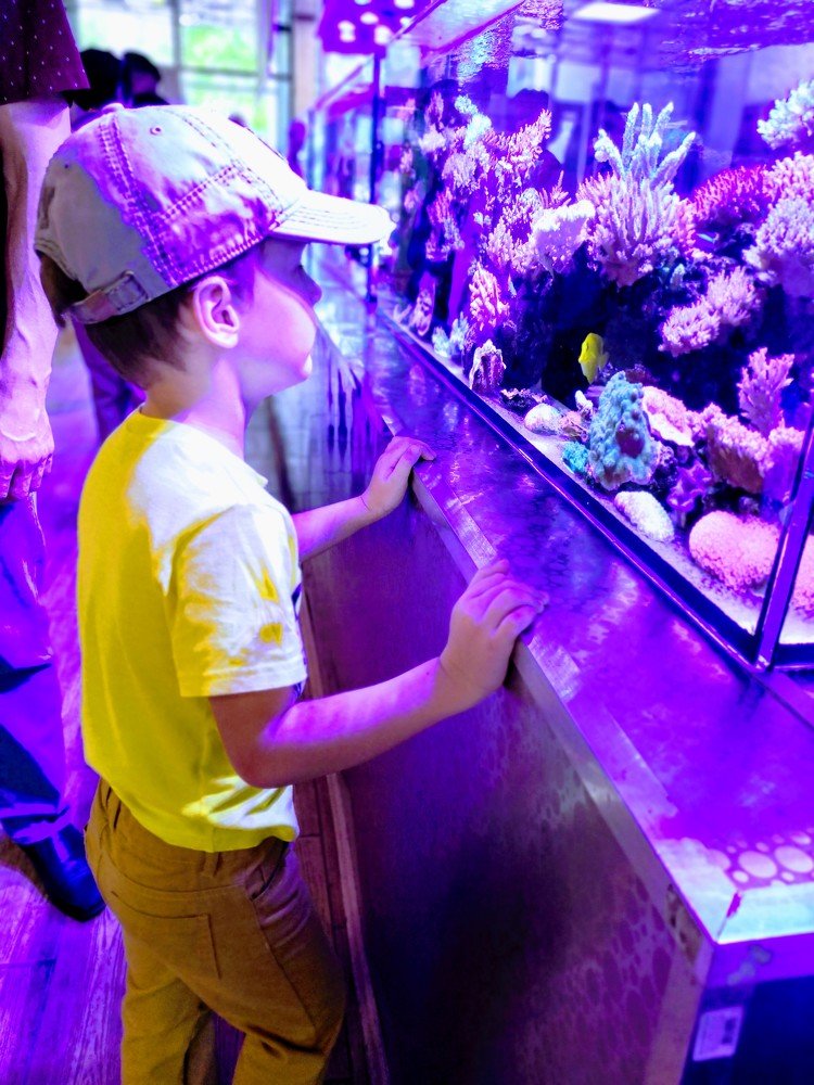 Этот неведомый подводный мир