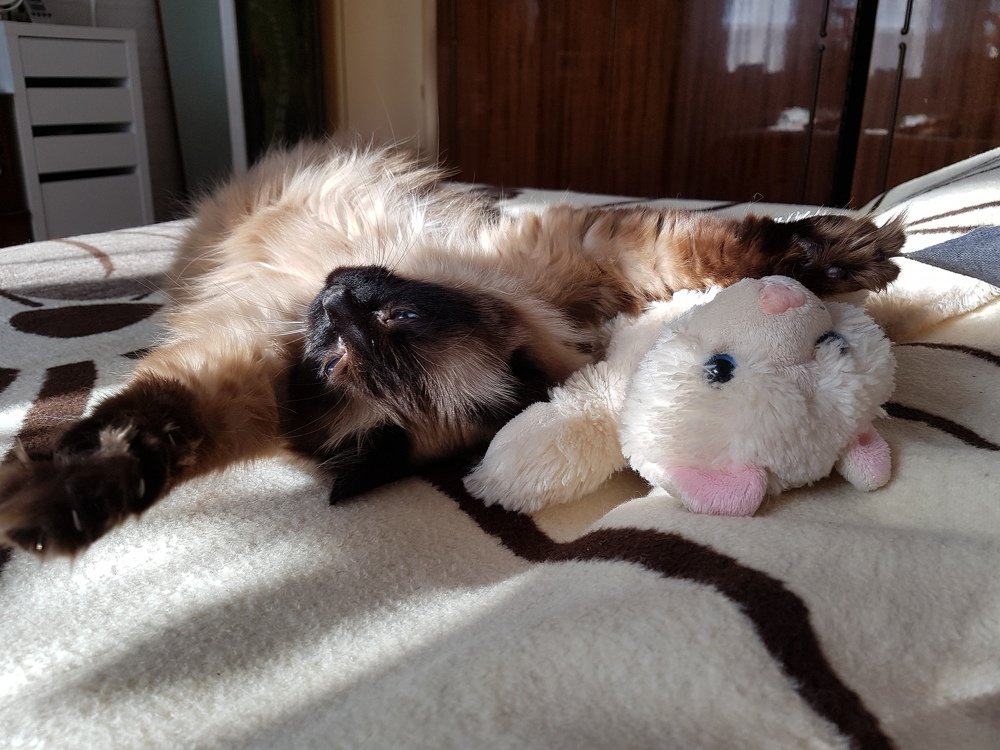 Photograph by Лиана Сопина