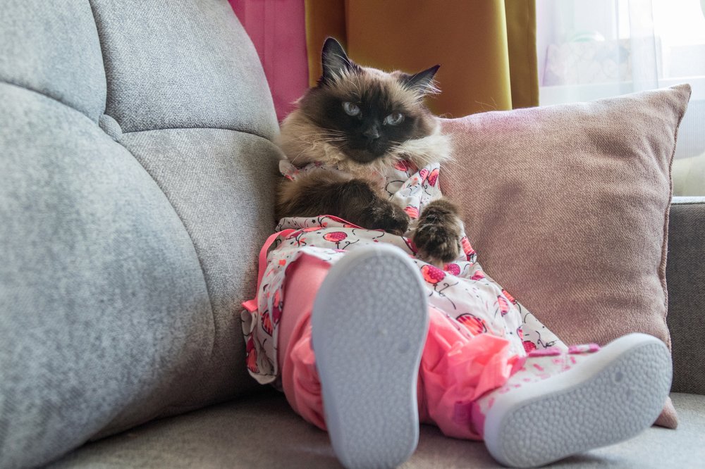 Photograph by Лиана Сопина