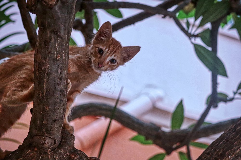 Photograph by Mythri