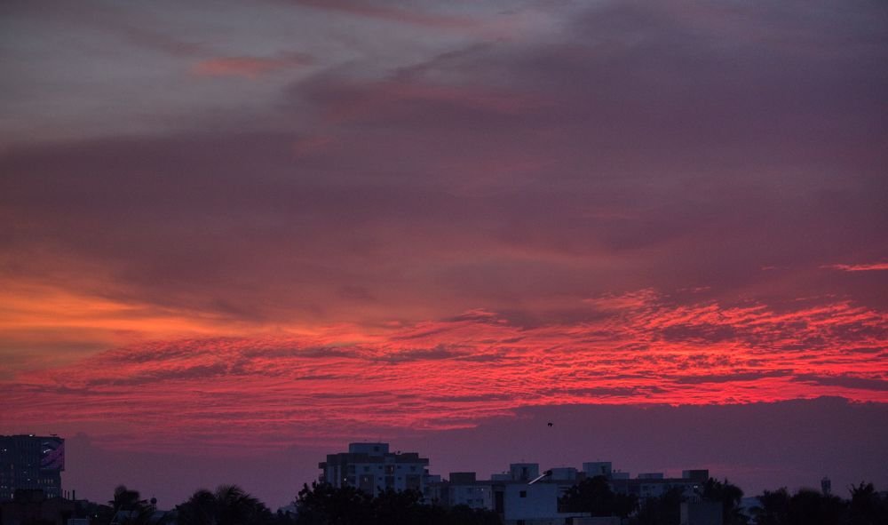 Photograph by Mythri