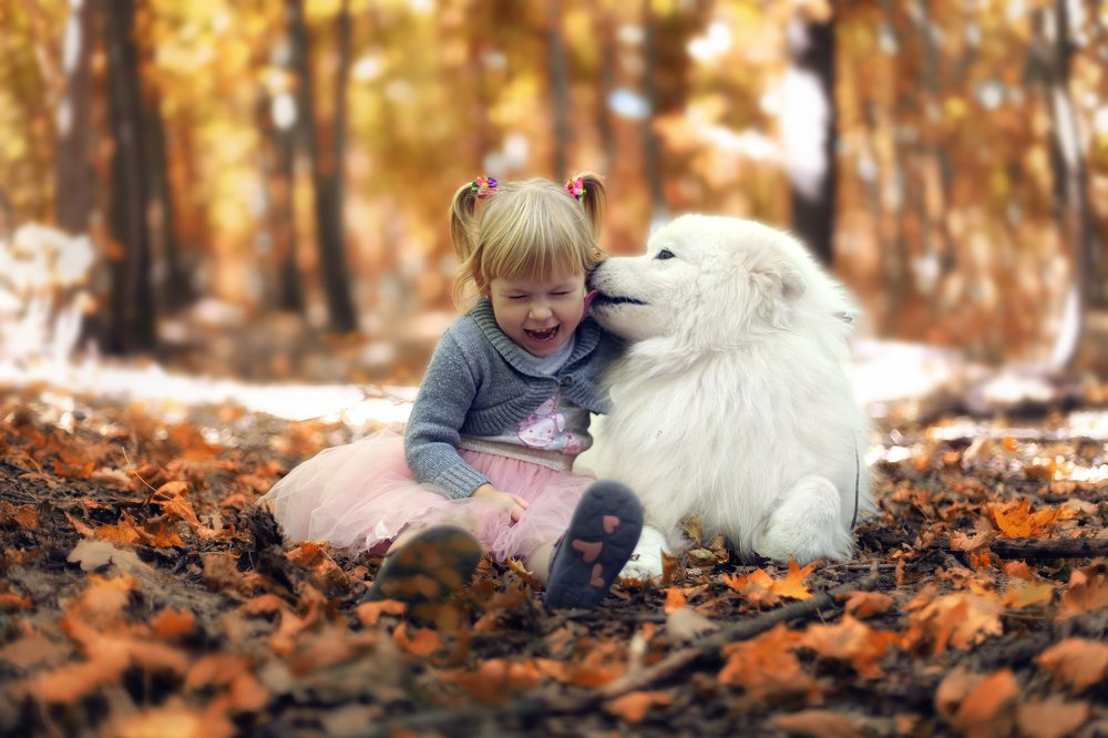 Photograph by Галина Ледок