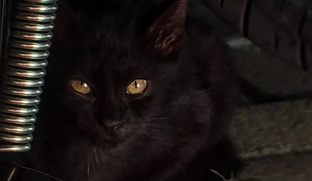 Photograph by Tavip Tavip Budiono Hadisoeprapto