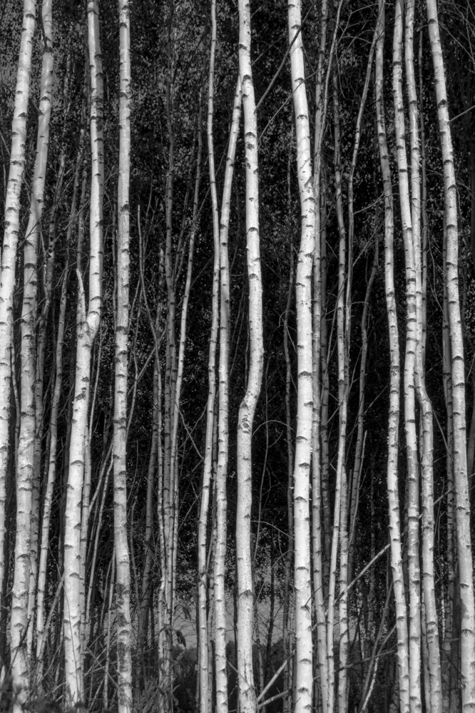 Photograph by Павел Ступак