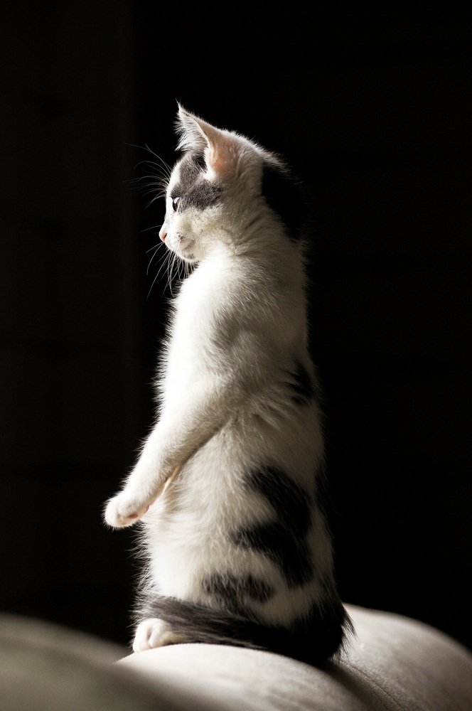 Photograph by Тамара Мартынова