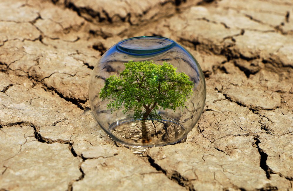 Photograph by Elahe Ebrahimzadeh