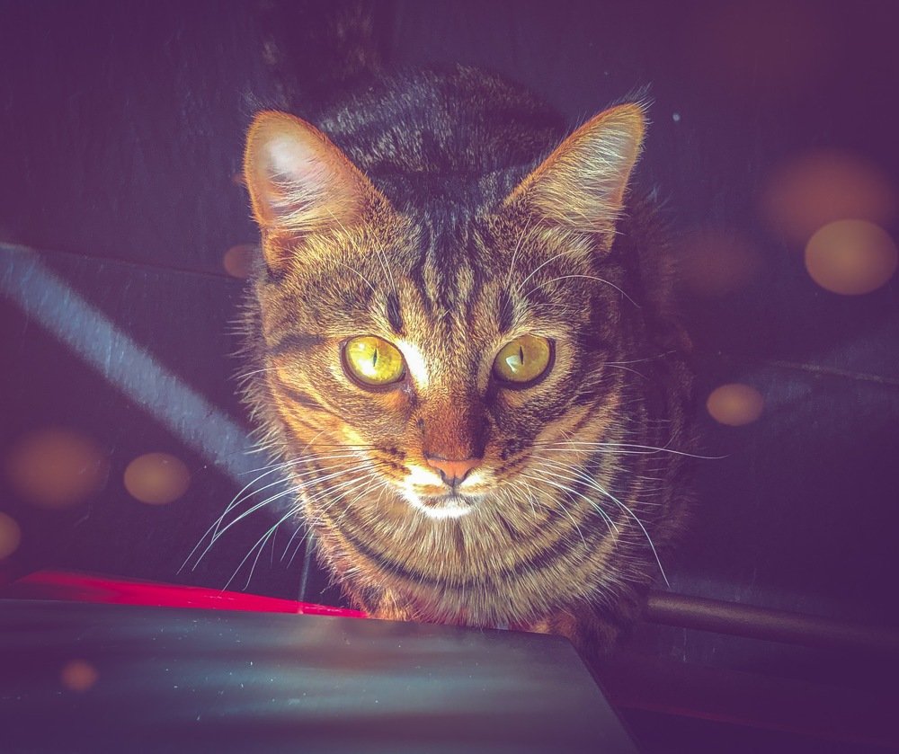 Photograph by Сергей Фаренюк