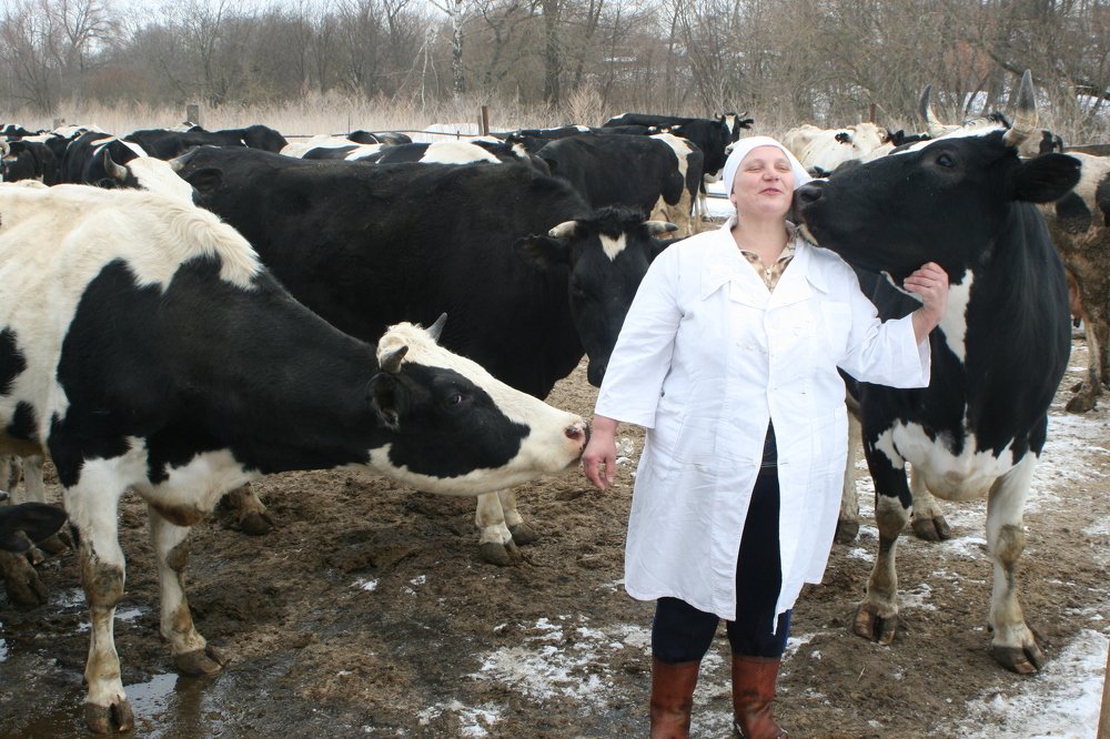 Photograph by Василий