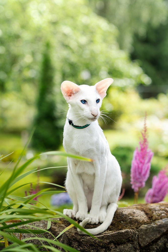 Photograph by Nataliya Starikova