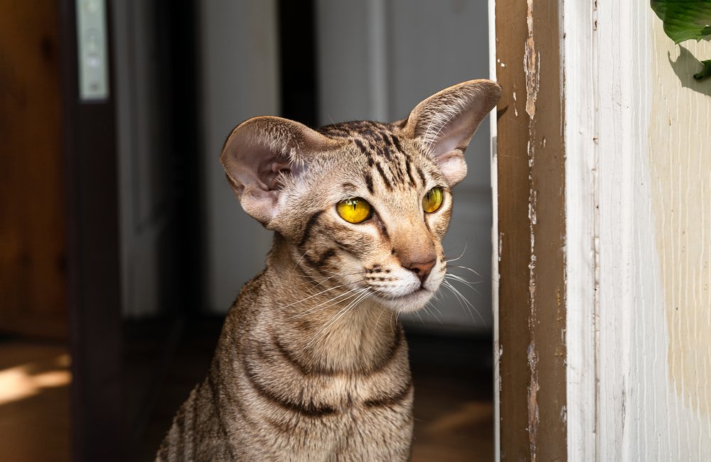 Photograph by Nataliya Starikova