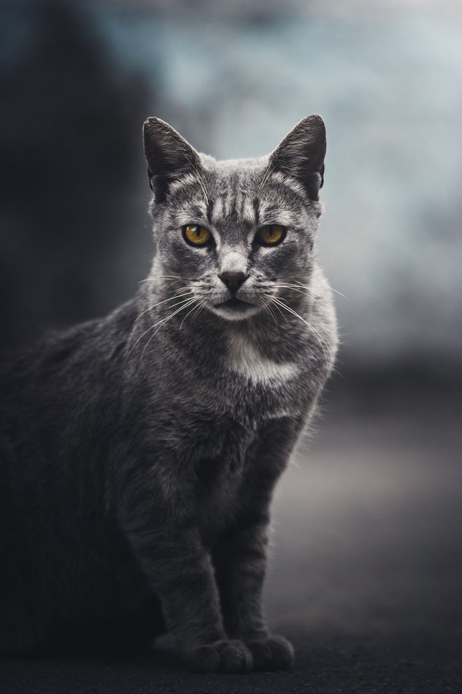 Photograph by Олег