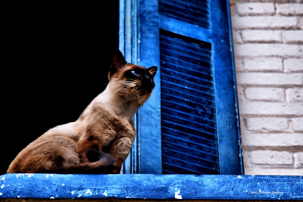 Photograph by Germán Garibay