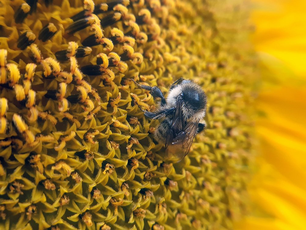 Photograph by Дарья Богославская