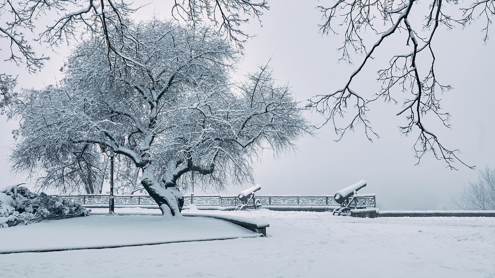 Photograph by Казун Андрей