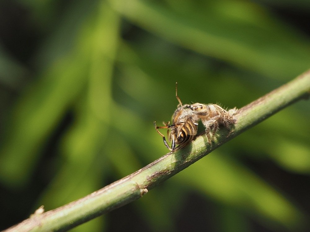 Photograph by Dona Lowii