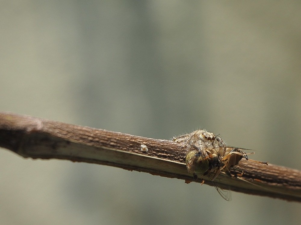 Photograph by Dona Lowii