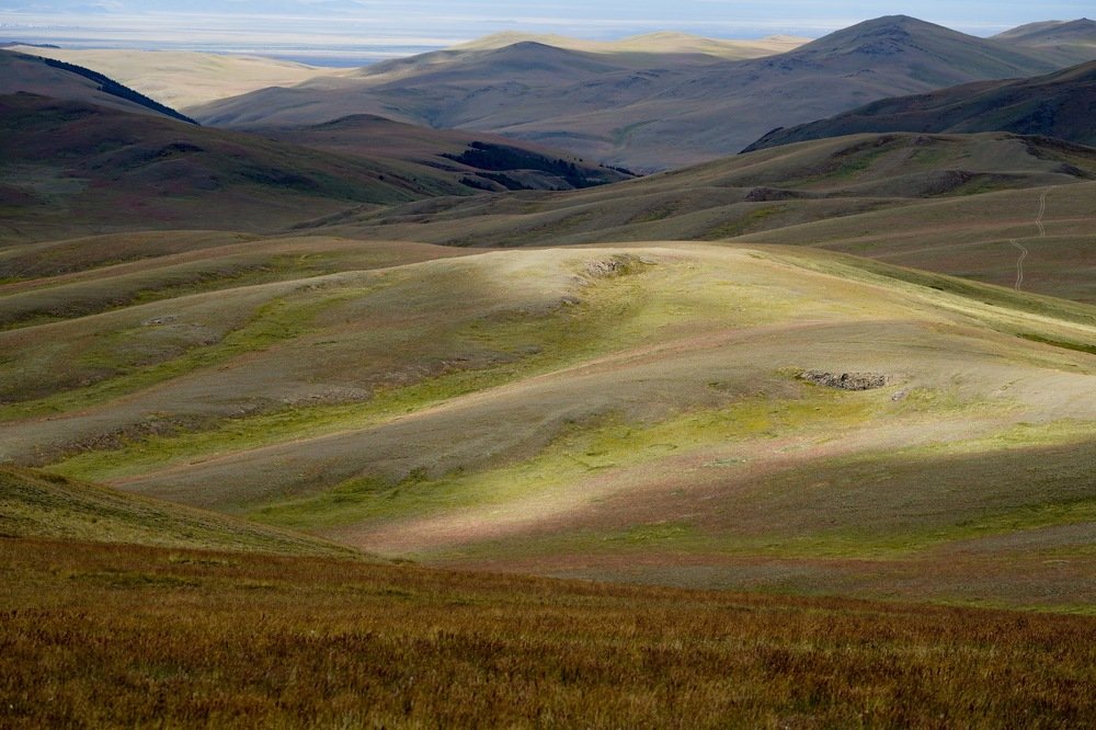 Чуйская степь 4