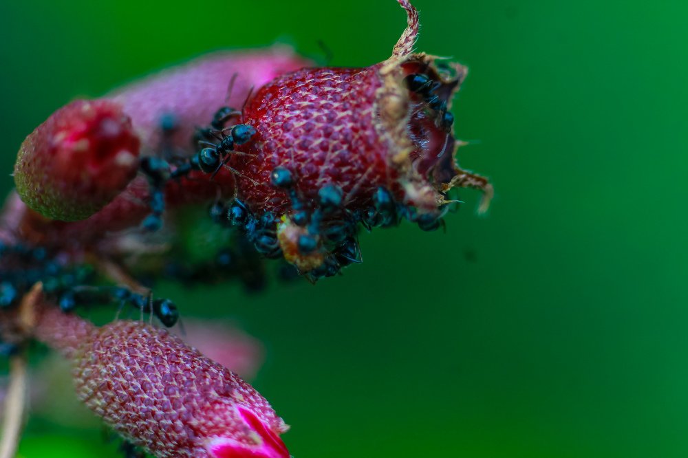 Photograph by tri yanto