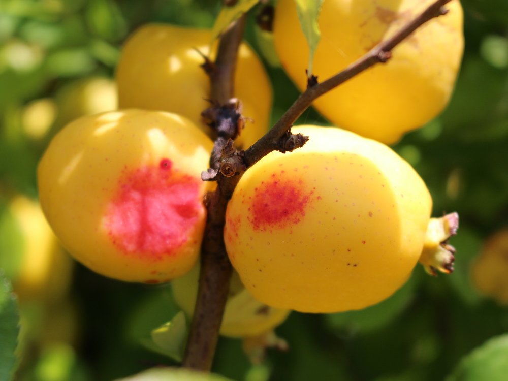 Photograph by Екатерина Мстиславская