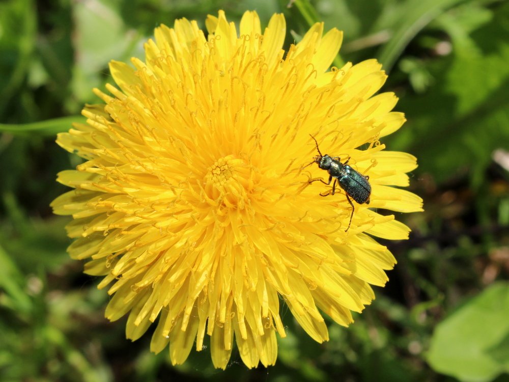 Photograph by Екатерина Мстиславская