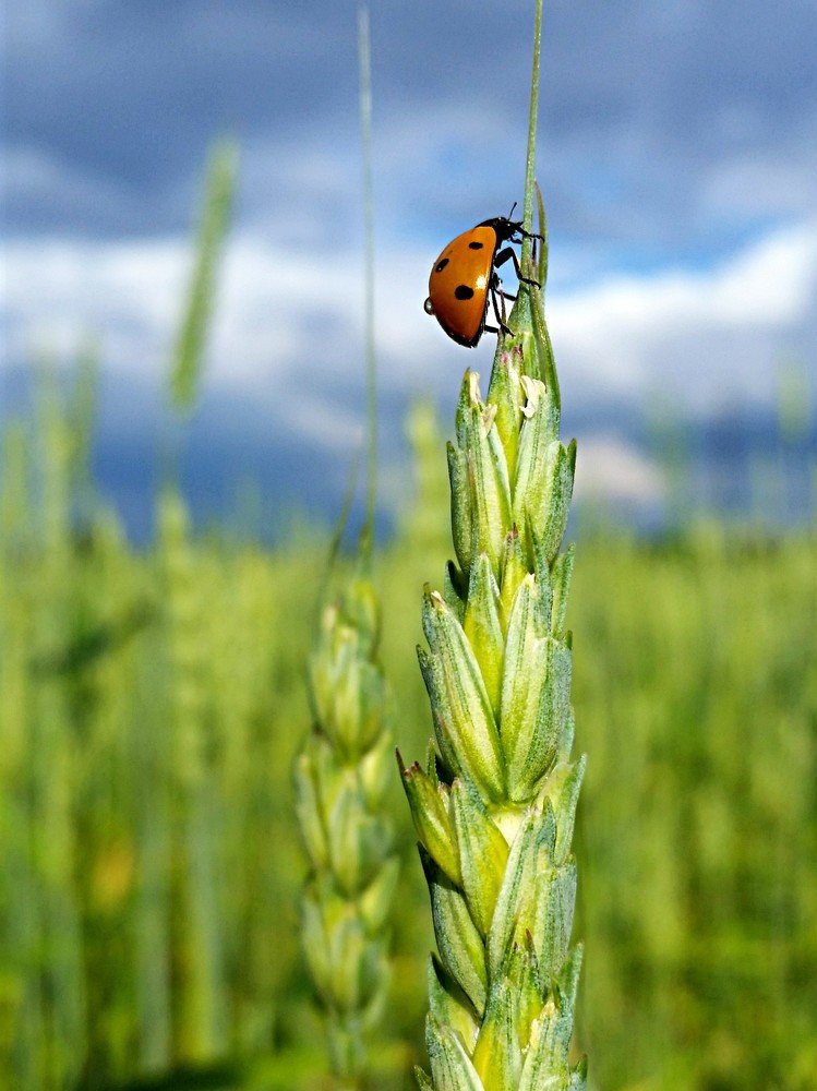 Photograph by Marcin Sokolowski - maarew
