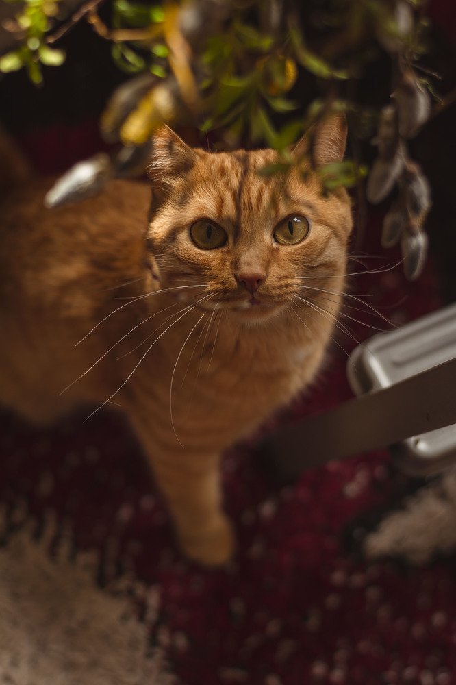 Photograph by Мария Вербицкая