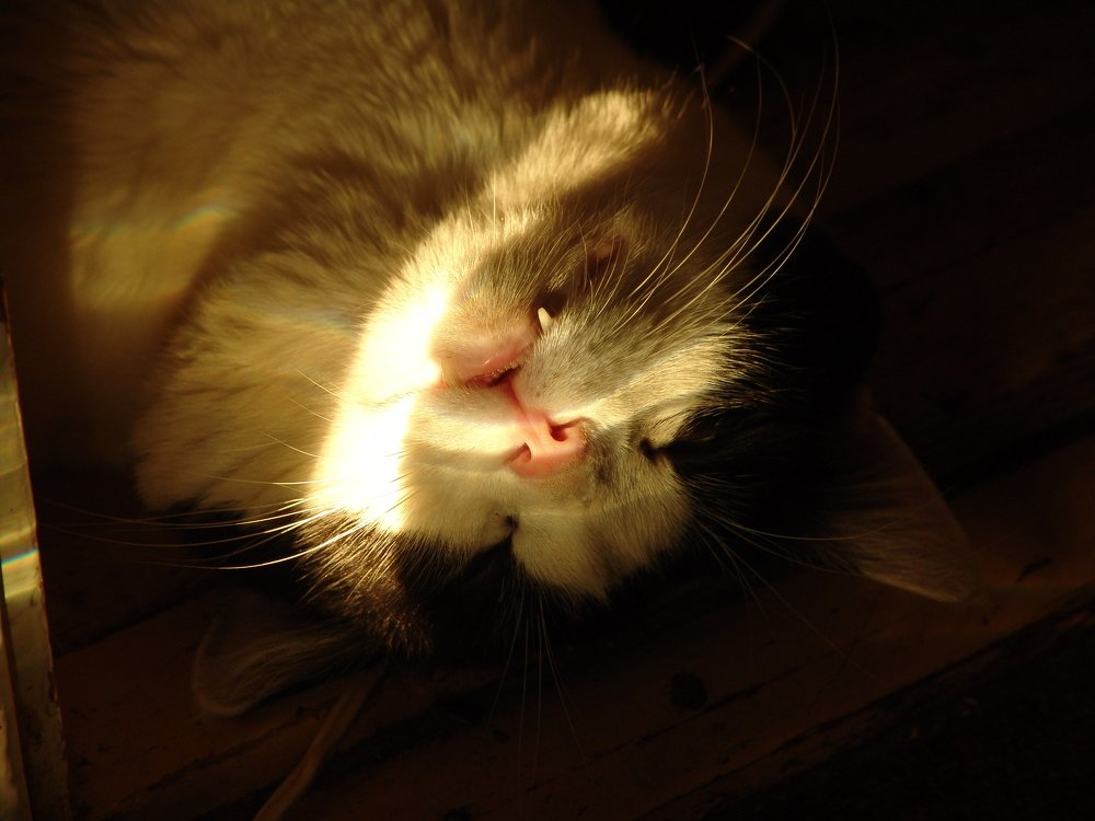 Солнечные ванны