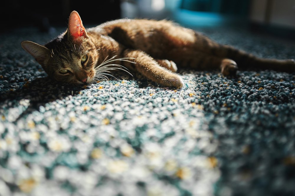 Photograph by Никита Егоров