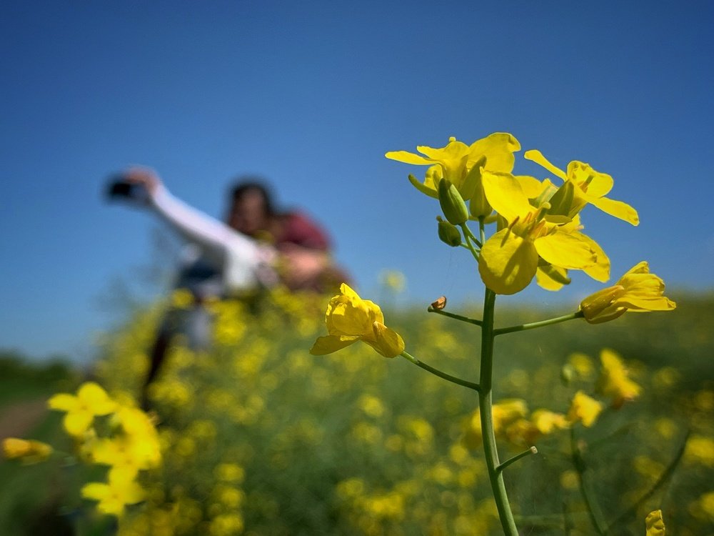 Photograph by Arezoo Mosaddegh