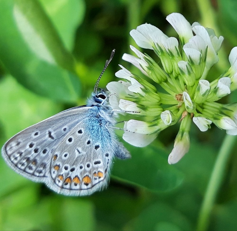 Photograph by Linda Brakus