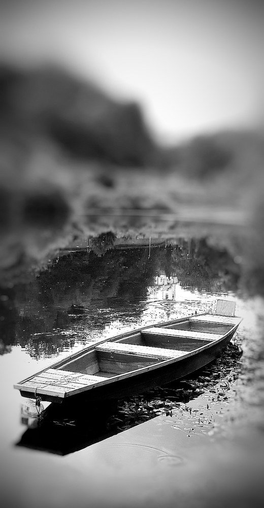 Photograph by Linda Brakus