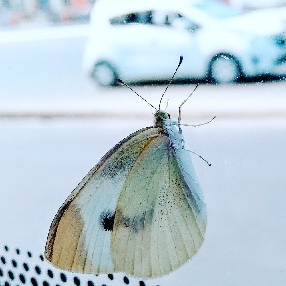 Photograph by Azhara Aribzhan