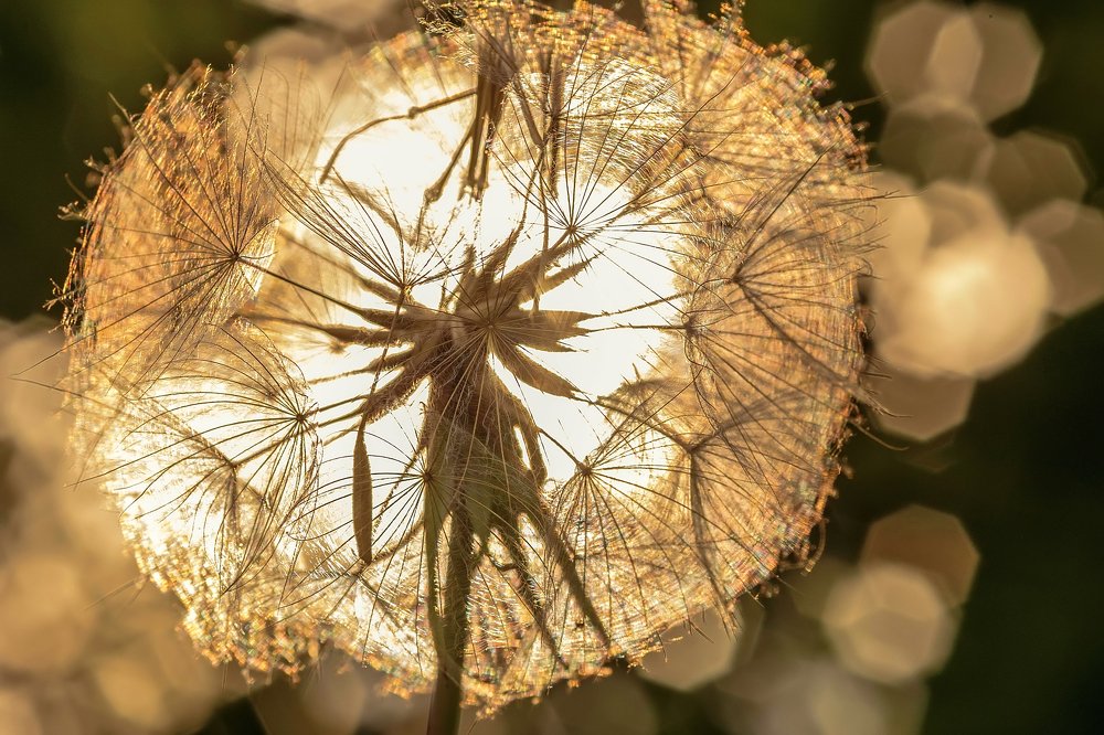 Лето закончится ровно в осень