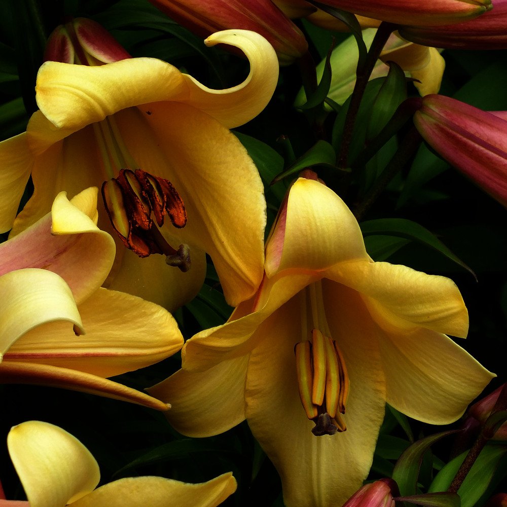 Photograph by Евгений Шувалов