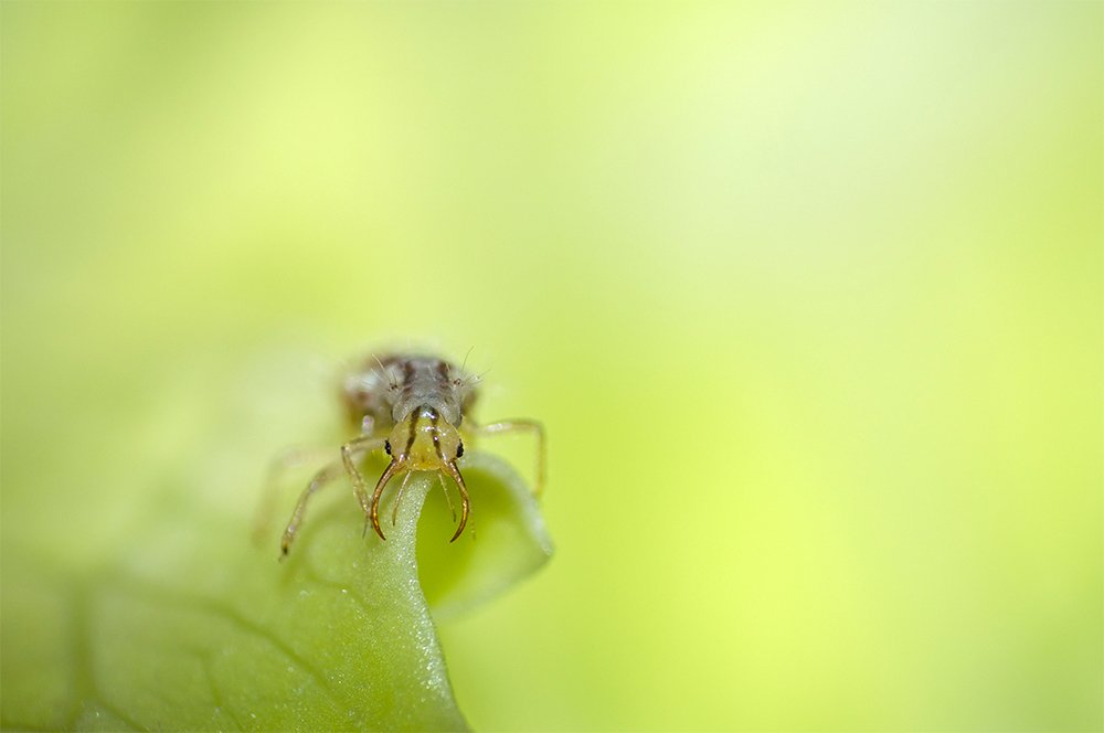 Photograph by Sahar Jafari