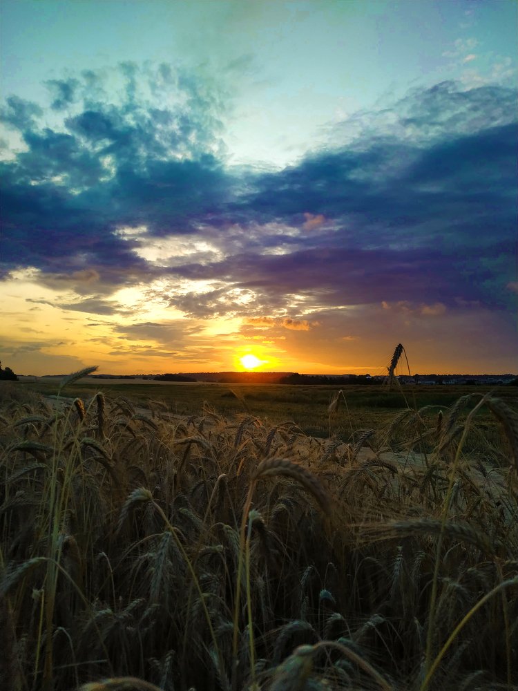 Золотые отблески заката