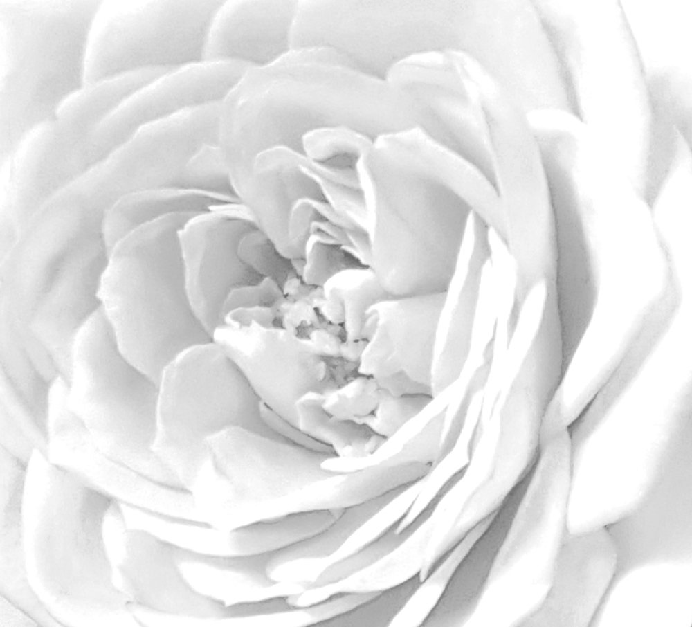 Photograph by Mojca Rebol