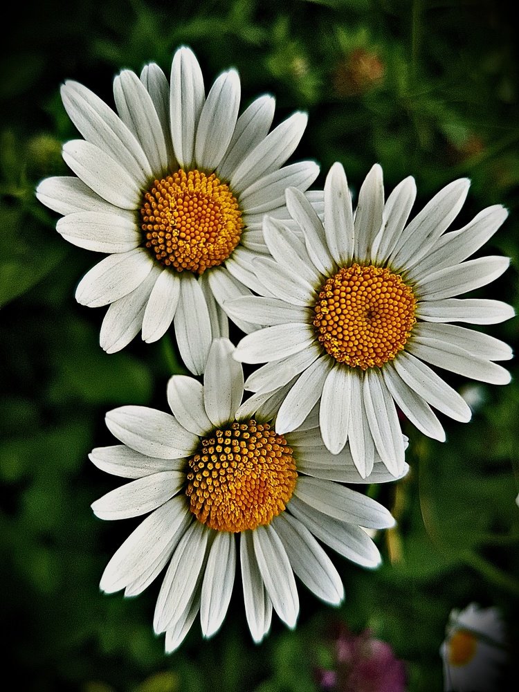 Photograph by Mojca Rebol