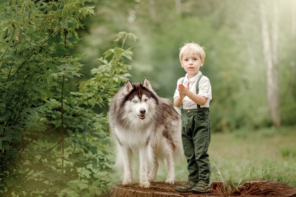 На лесной полянке