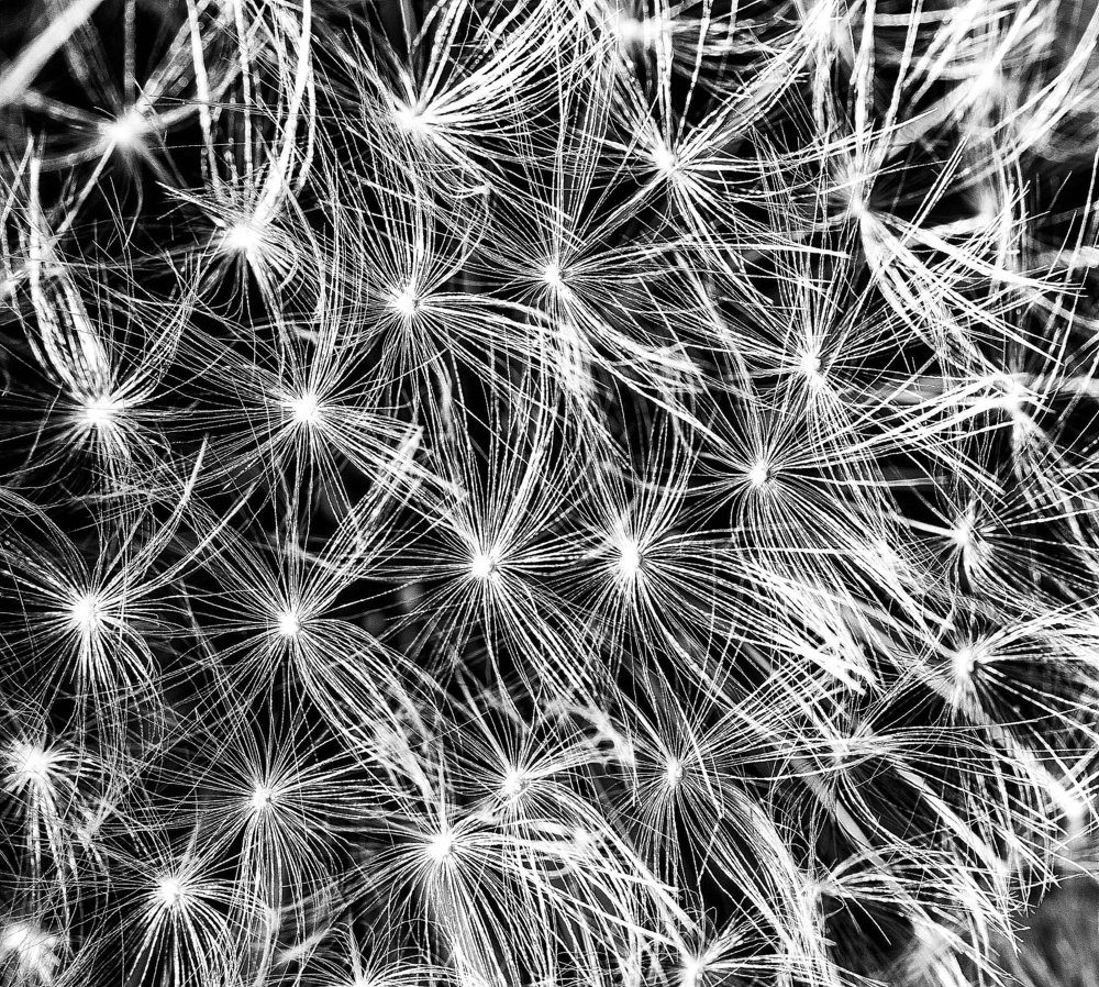 Photograph by Андрей Кротов