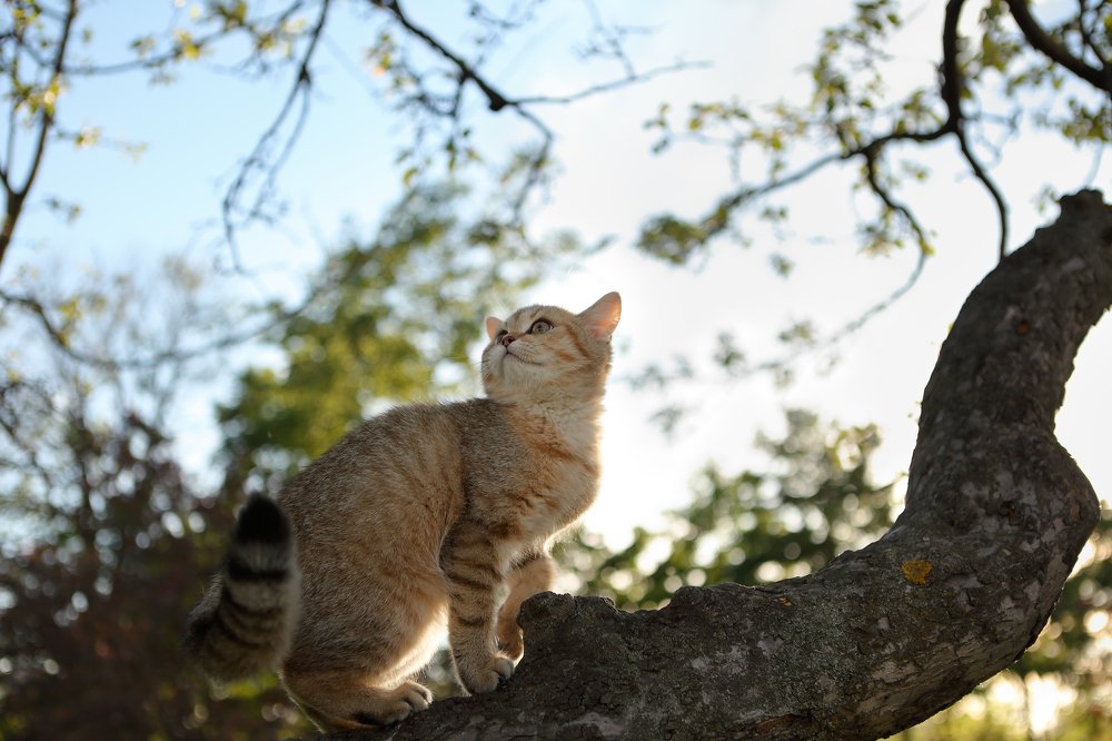 Photograph by Elena Guseva