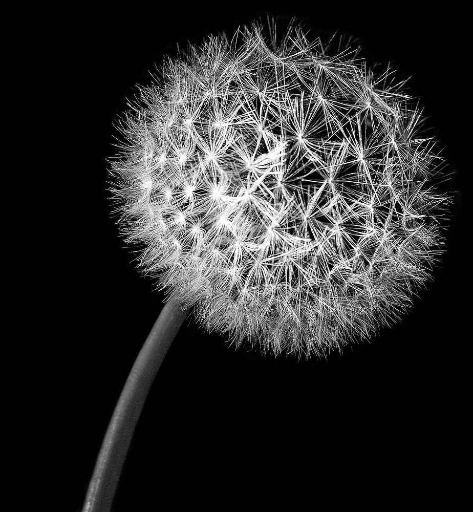 Photograph by Андрей Кротов