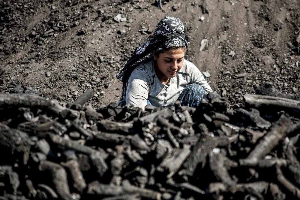 Photograph by DAMOUN POURNEMATI