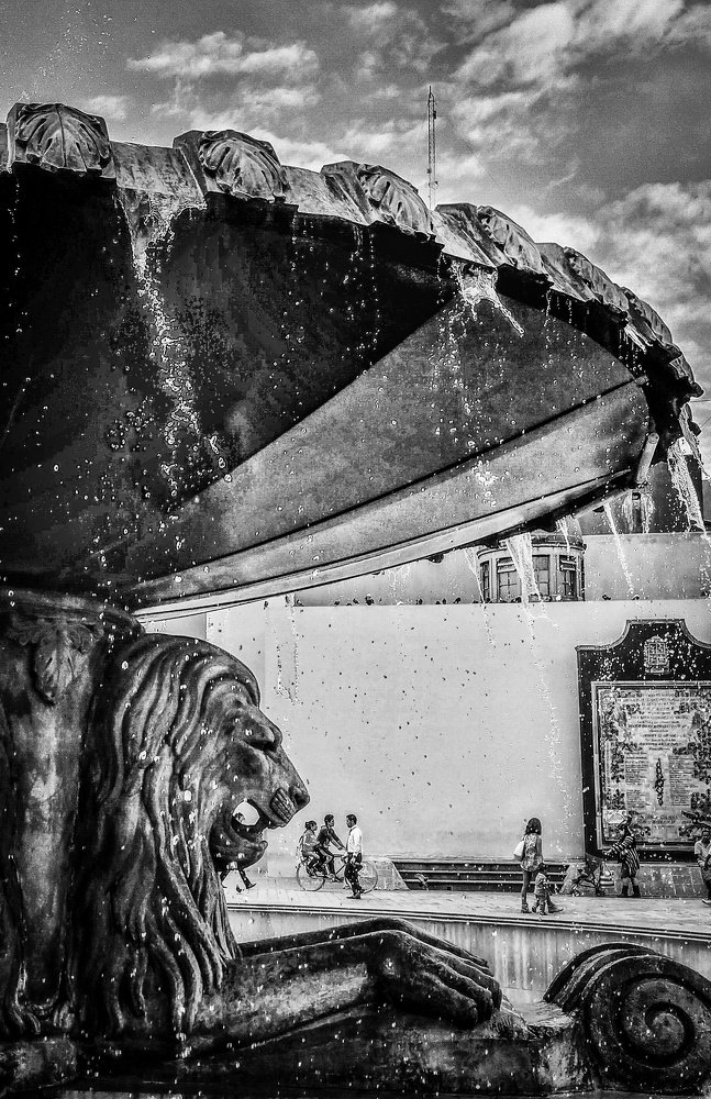 Photograph by José Martín Moreno Vázquez