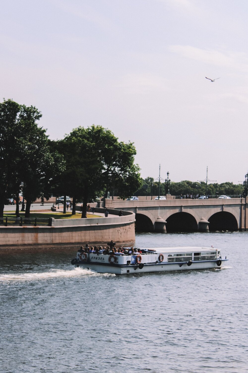 Photo #3555837