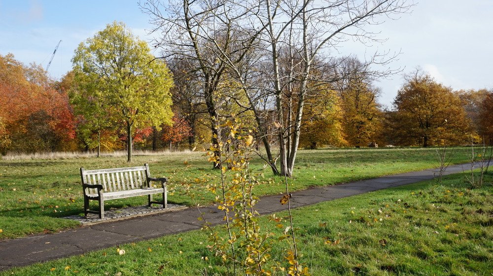 Photograph by Spiros Xenos